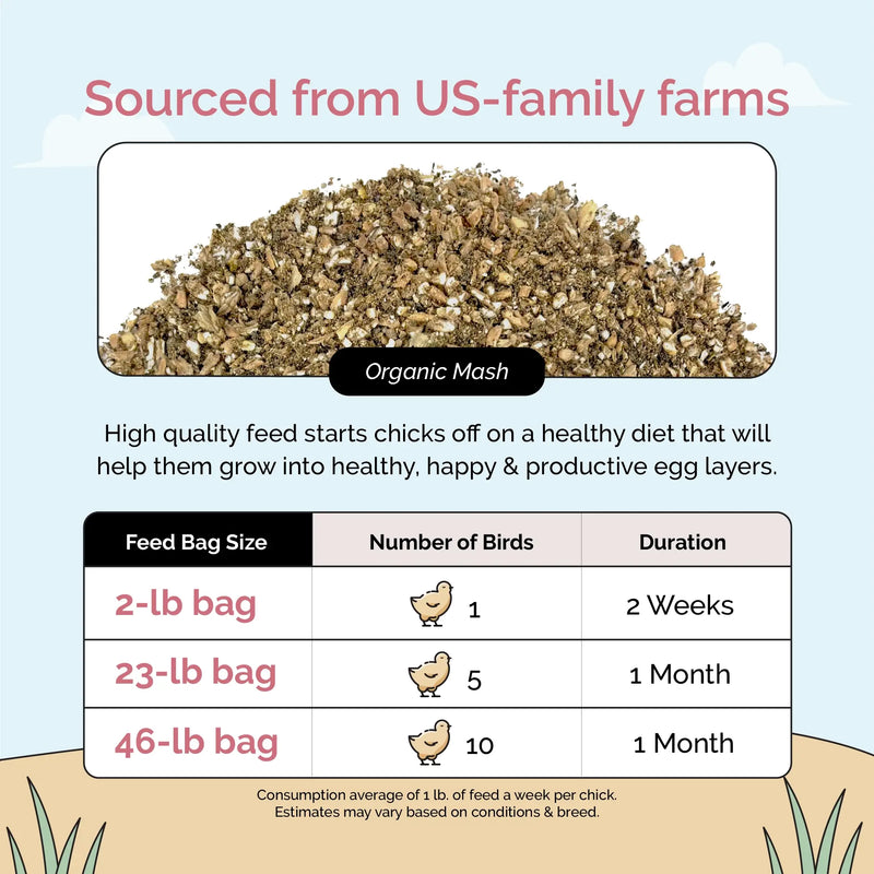 Load image into Gallery viewer, Starter Feed Kit | 8 Weeks of Organic Feed &amp; Grit for 10 Chicks
