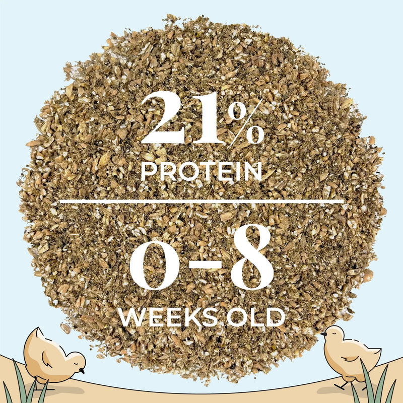 Load image into Gallery viewer, Starter Feed Kit | 8 Weeks of Organic Feed &amp; Grit for 10 Chicks
