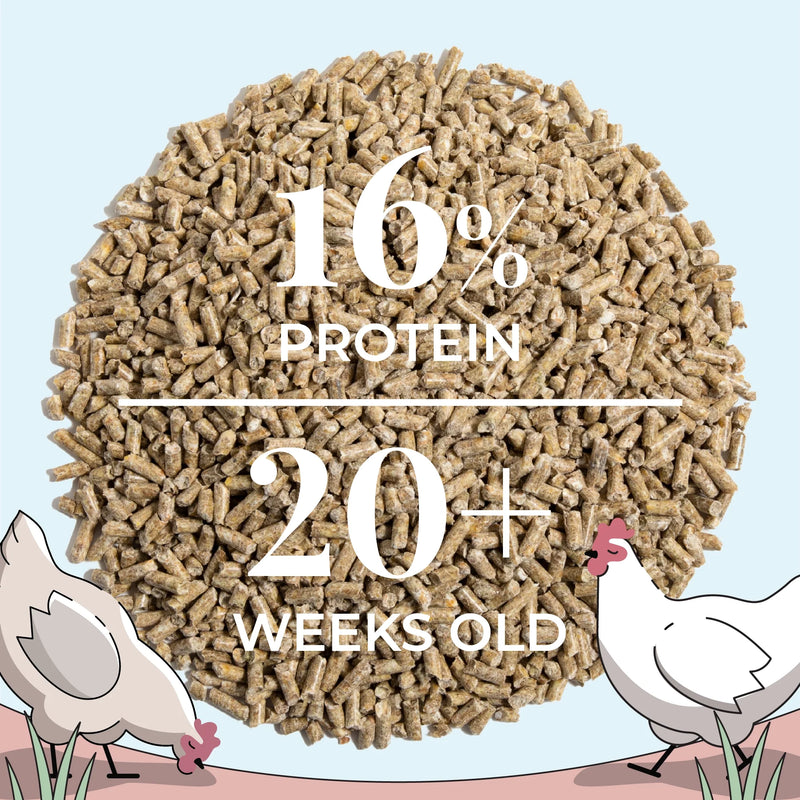 Load image into Gallery viewer, Layer Feed Kit | 1 Month of Organic Feed, Grit &amp; Oyster Shell for 10 Layers
