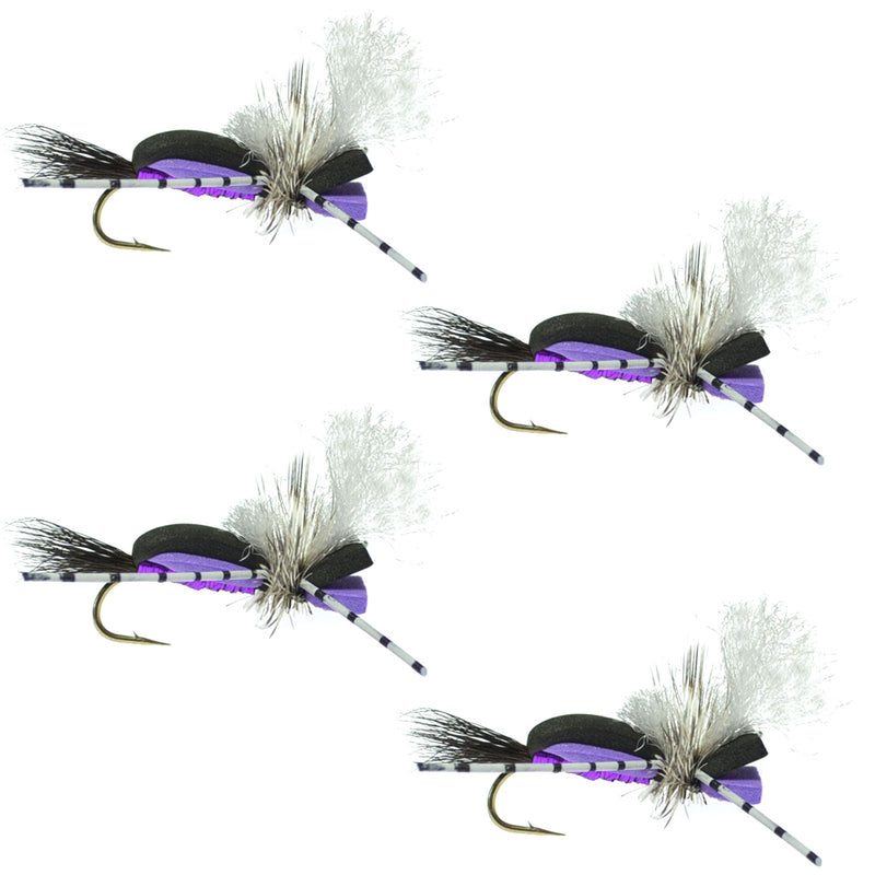 Load image into Gallery viewer, Hippie Stomper Black Purple Foam Body Grasshopper Dry Fly - 4 Flies Size 10
