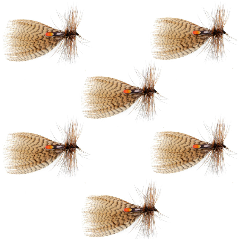 Load image into Gallery viewer, Hornberg Special Streamer or Dry Fly - 6 Flies - Hook Size 6
