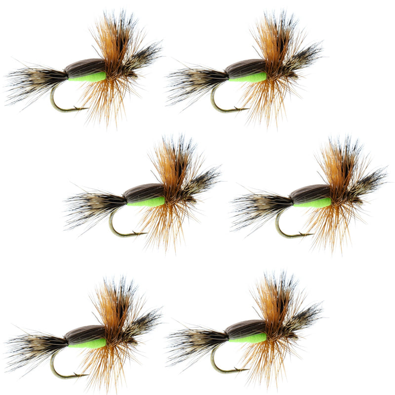 Load image into Gallery viewer, Chartreuse Humpy Classic Hair Wing Dry Fly - 6 Flies Hook Size 10
