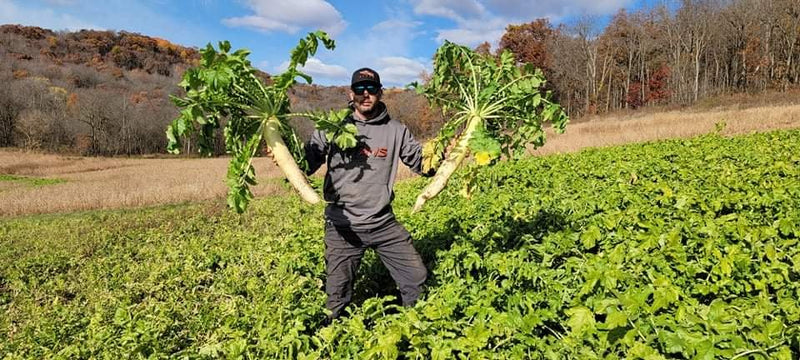 Load image into Gallery viewer, Illicit™ Food Plot Seed

