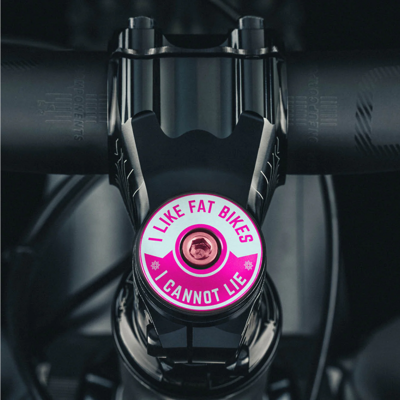 Load image into Gallery viewer, I Like Fat Bikes &amp; I Cannot Lie Bicycle Headset Cap

