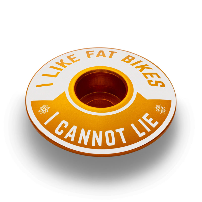 Load image into Gallery viewer, I Like Fat Bikes &amp; I Cannot Lie Bicycle Headset Cap
