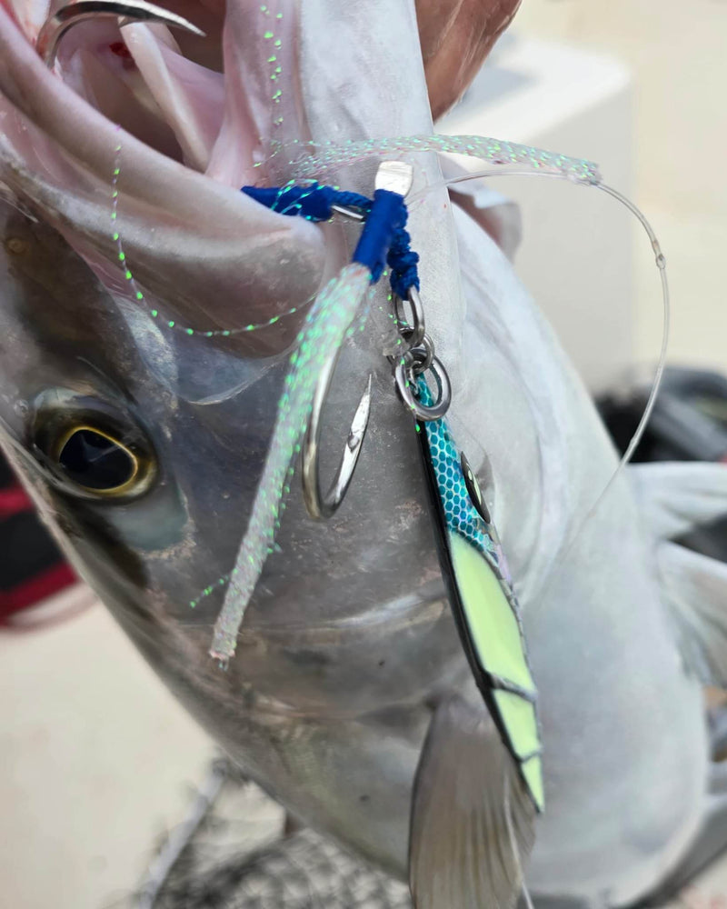 Load image into Gallery viewer, Javelin Slow Pitch Jig – 100g &amp; 200g
