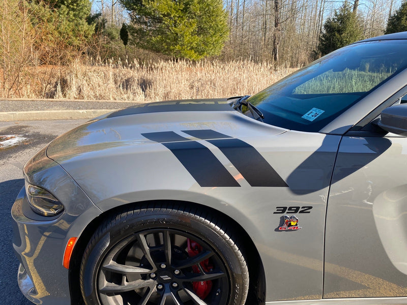 Load image into Gallery viewer, Fender Stripe Decals for 2011 - 2021 Dodge Charger (x2)
