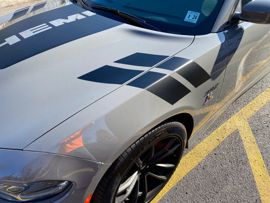 Fender Stripe Decals for 2011 - 2021 Dodge Charger (x2)