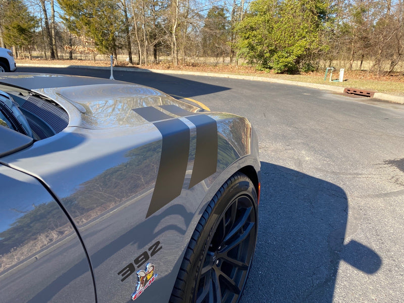 Load image into Gallery viewer, Fender Stripe Decals for 2011 - 2021 Dodge Charger (x2)
