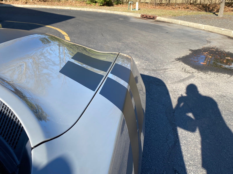 Load image into Gallery viewer, Fender Stripe Decals for 2011 - 2021 Dodge Charger (x2)
