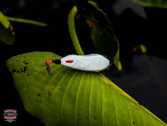 Snek Frog