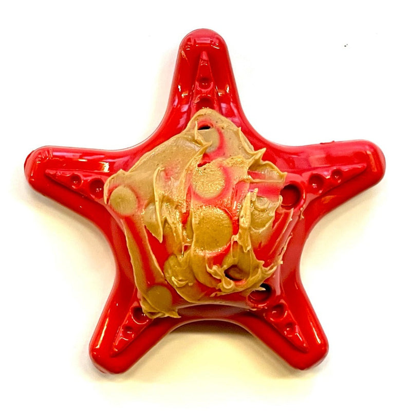 Load image into Gallery viewer, Starfish Nylon Dog Chew Toy for Aggressive Chewers | USA Made | SodaPup
