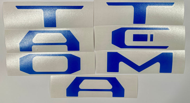 Load image into Gallery viewer, Premium Cast Vinyl Decal Inlays for 2016-2026 Tacoma Tailgate Letters
