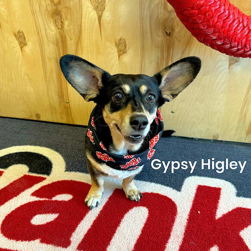 Load image into Gallery viewer, Neck Gaiter - Skoutley Outdoors LLC
