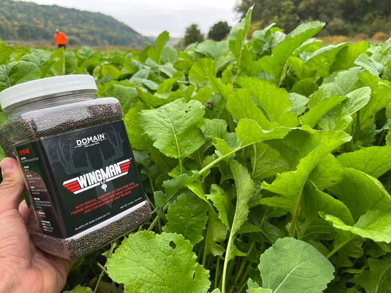 Load image into Gallery viewer, Wingman™ Food Plot Seed
