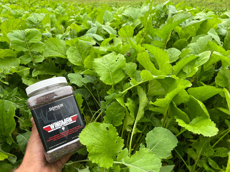 Load image into Gallery viewer, Wingman™ Food Plot Seed
