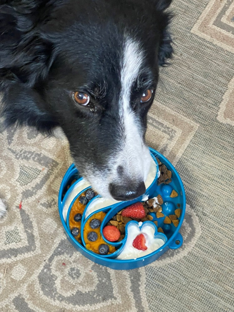 Load image into Gallery viewer, Wave eBowl Deep Slow Feeder Dog Bowl for Enrichment | Made in USA
