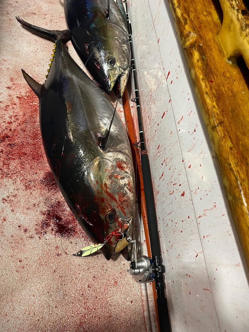Load image into Gallery viewer, Samurai Slow Pitch Jig – 400g–600g
