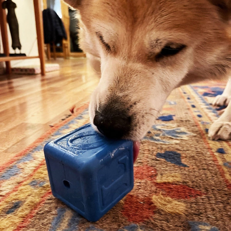 Load image into Gallery viewer, Love Cube eDispenser - Durable Rubber Chew Toy &amp; Treat Dispenser | USA Made
