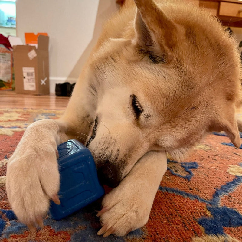 Load image into Gallery viewer, Love Cube eDispenser - Durable Rubber Chew Toy &amp; Treat Dispenser | USA Made
