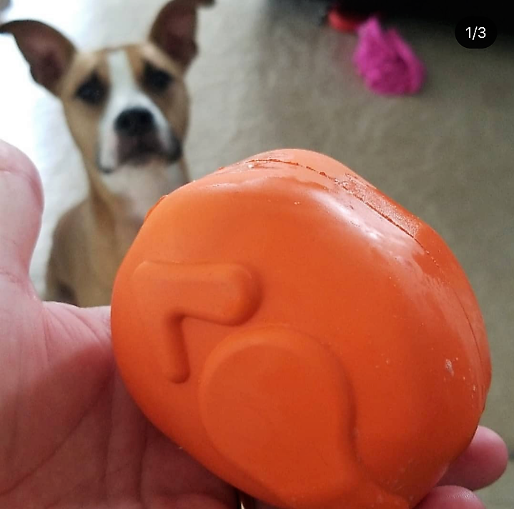 Load image into Gallery viewer, Roasted Turkey Dog Chew Toy &amp; Treat Dispenser - USA Made | SodaPup
