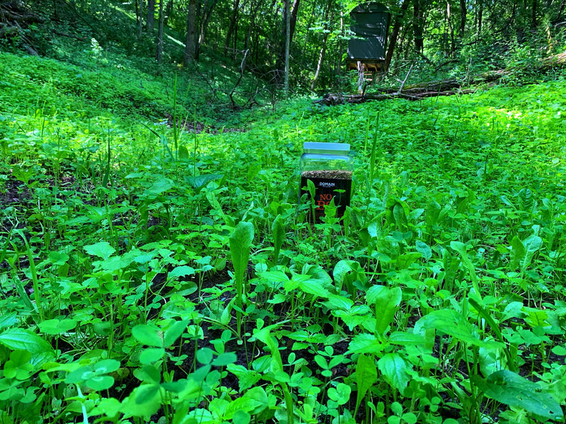 Load image into Gallery viewer, No BS™ Food Plot Seed
