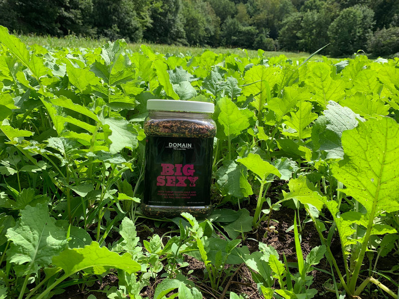 Load image into Gallery viewer, Big Sexy™ Food Plot Seed
