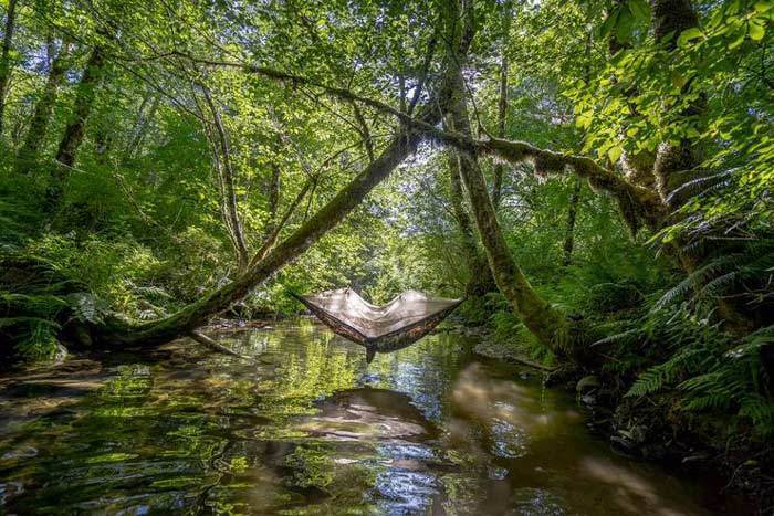 Load image into Gallery viewer, Skeeter Beeter Pro Mosquito Net Hammock
