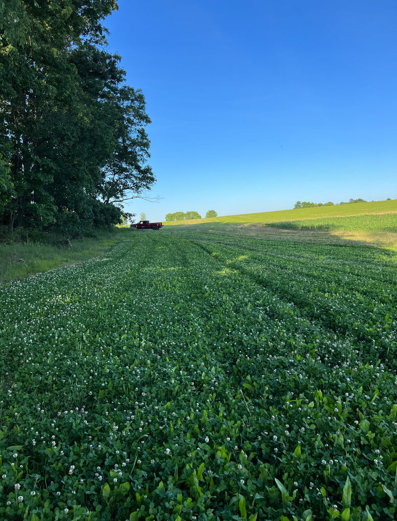 Load image into Gallery viewer, Boss Brew™ Food Plot Seed
