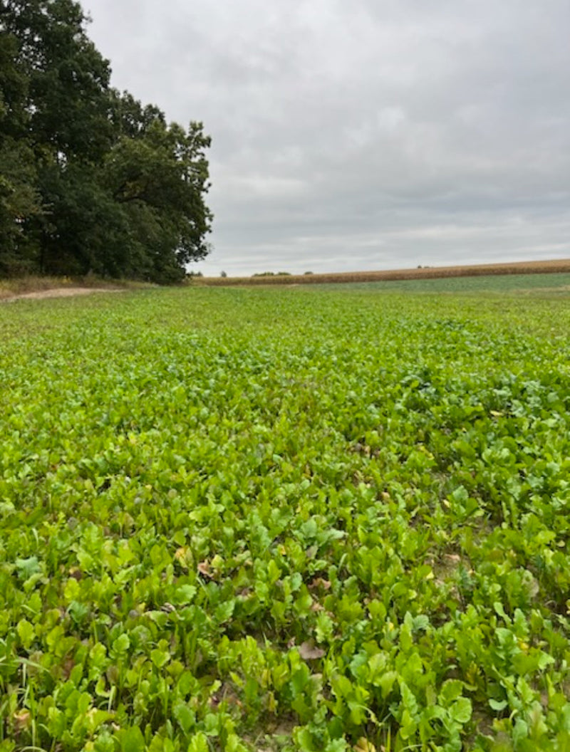 Load image into Gallery viewer, Boss Brew™ Food Plot Seed
