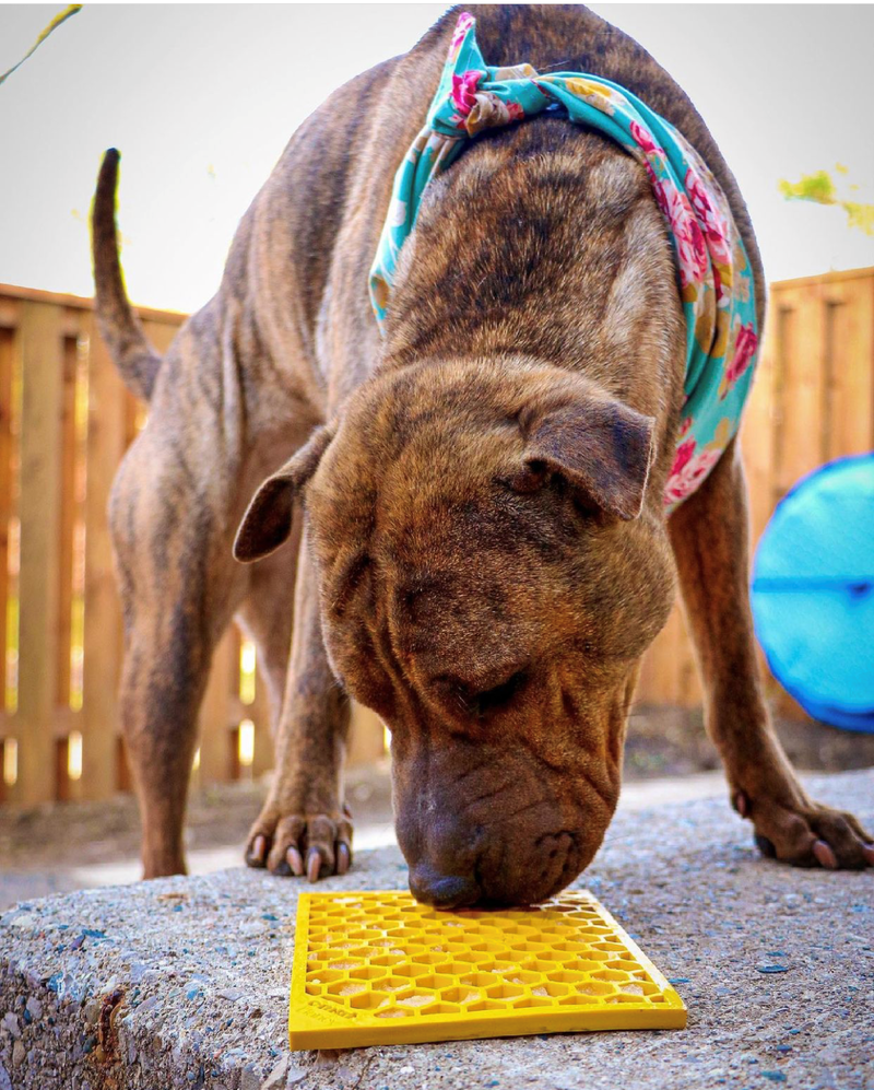 Load image into Gallery viewer, Honeycomb eMat - Enrichment Lick Mat for Dogs and Cats | eMat Enrichment Toy for Anxiety Relief | SodaPup
