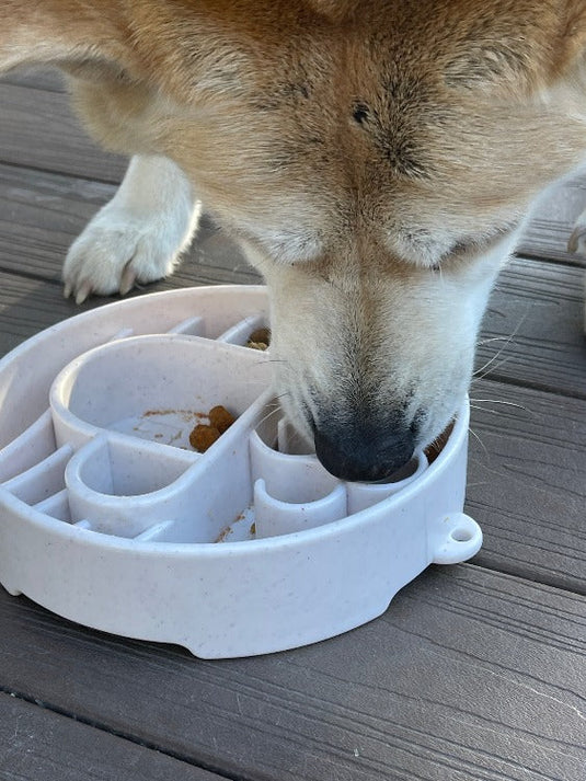 Java eBowl Deep Slow Feeder Dog Bowl for Enrichment | USA Made