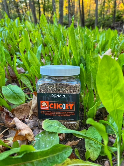 Load image into Gallery viewer, Domain Pounder – Chicory Food Plot Seed
