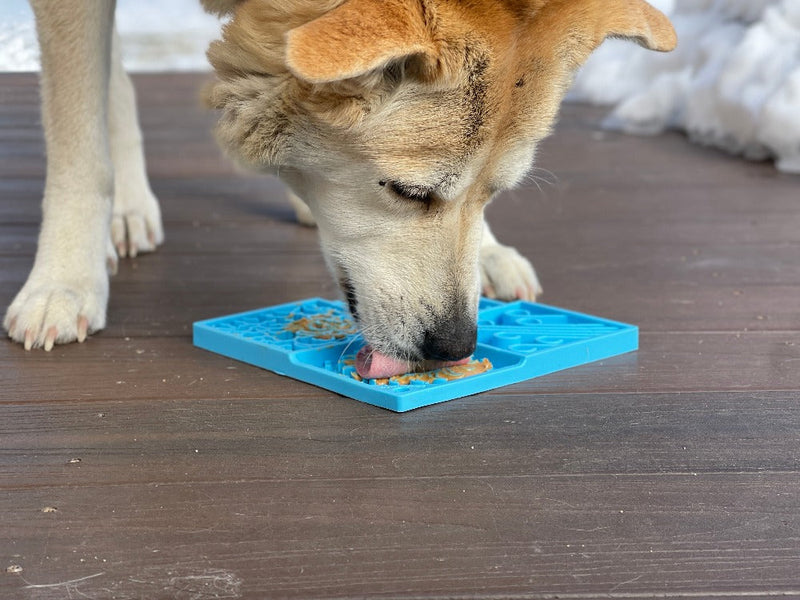 Load image into Gallery viewer, Sky eMat - Enrichment Lick Mat for Dogs and Cats | Celestial Design | SodaPup
