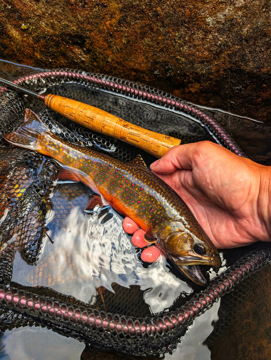 Native Bow Net