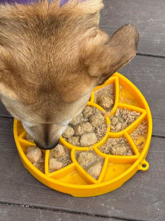 Load image into Gallery viewer, Sunflower eTray Shallow Slow Feeder Dog Bowl for Enrichment | USA Made
