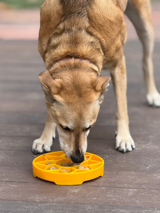 Sunflower eTray Shallow Slow Feeder Dog Bowl for Enrichment | USA Made