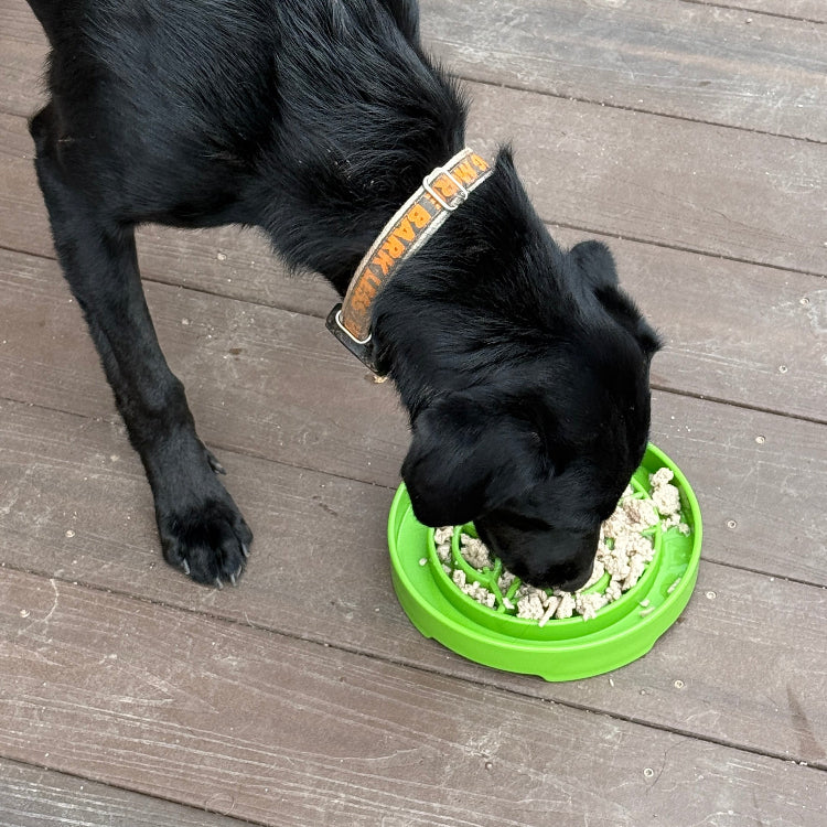 Load image into Gallery viewer, Garden Design eTray - Shallow Slow Feeder Dog Bowl for Enrichment | USA
