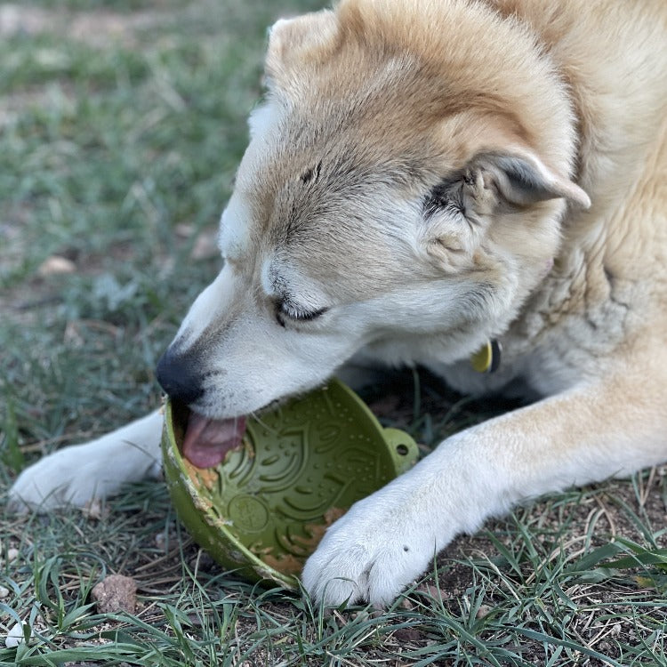 Load image into Gallery viewer, Garden of Eatin' Tipsy Bowl - Wobble Lick Mat for Dogs &amp; Cats | USA Made
