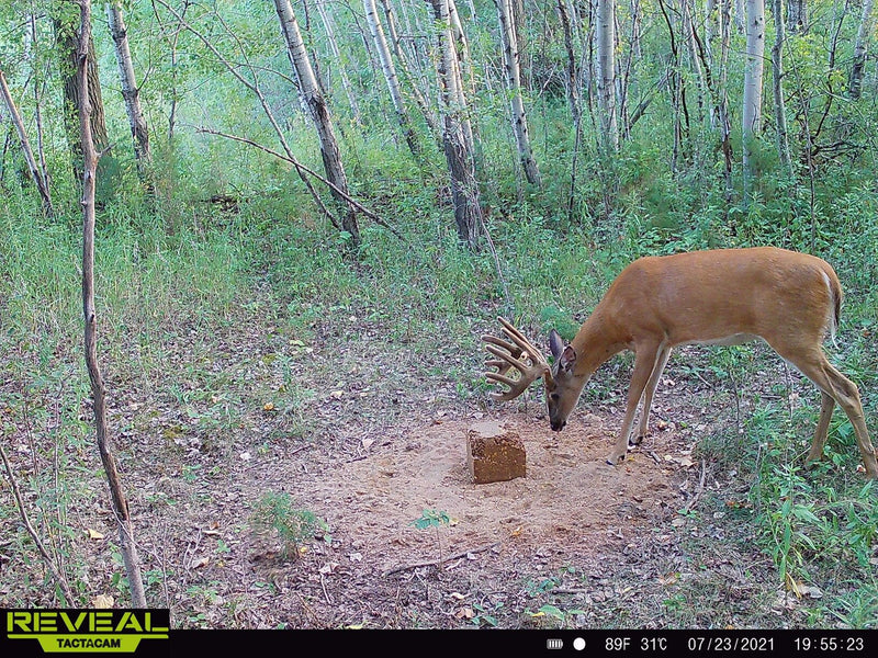 Load image into Gallery viewer, Stockpile™ Deer Block
