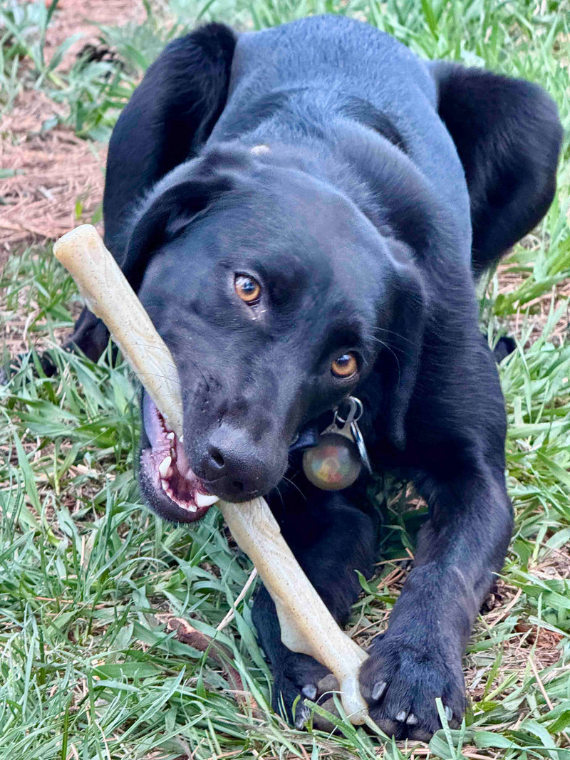 Load image into Gallery viewer, Durable Nylon Chew Stick for Power Chewers | Indestructible Dog Toy USA
