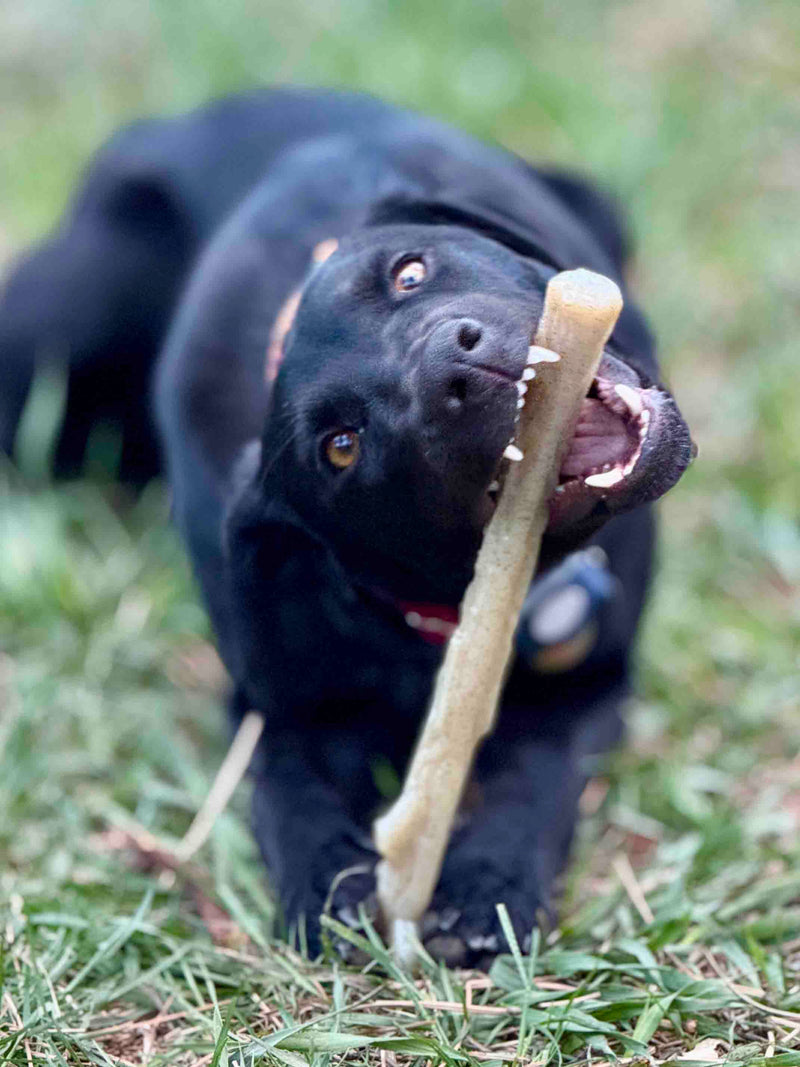 Load image into Gallery viewer, Durable Nylon Chew Stick for Power Chewers | Indestructible Dog Toy USA
