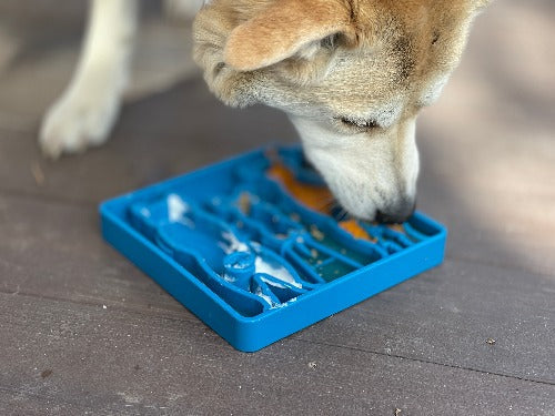 Load image into Gallery viewer, Waiting Dogs eTray - Shallow Slow Feeder Bowl for Enrichment | USA Made
