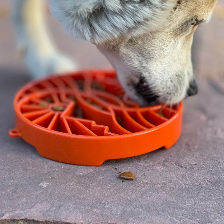Load image into Gallery viewer, Sun and Moon eTray - Shallow Slow Feeder Dog Bowl for Enrichment | USA Made
