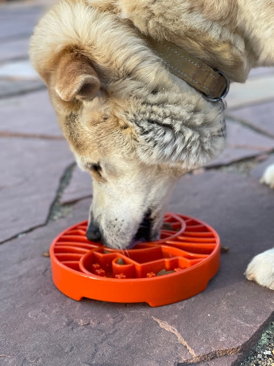 Load image into Gallery viewer, Sun and Moon eTray - Shallow Slow Feeder Dog Bowl for Enrichment | USA Made
