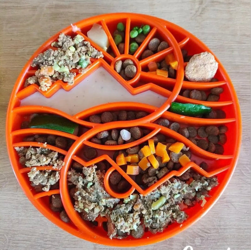 Load image into Gallery viewer, Sun and Moon eTray - Shallow Slow Feeder Dog Bowl for Enrichment | USA Made
