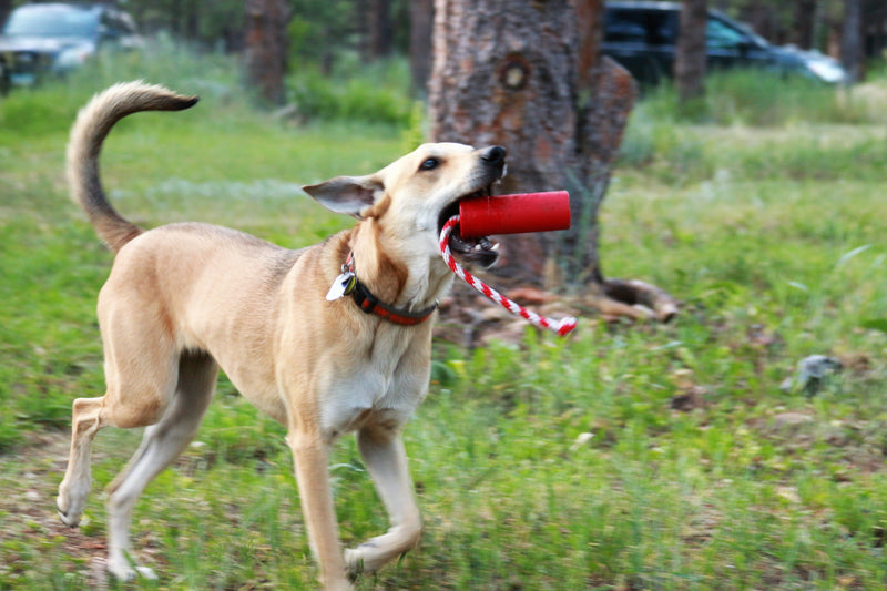 Load image into Gallery viewer, USA-K9 Firecracker Floating Training Dummy | K9 Handler Reward Toy | Red | USA Made
