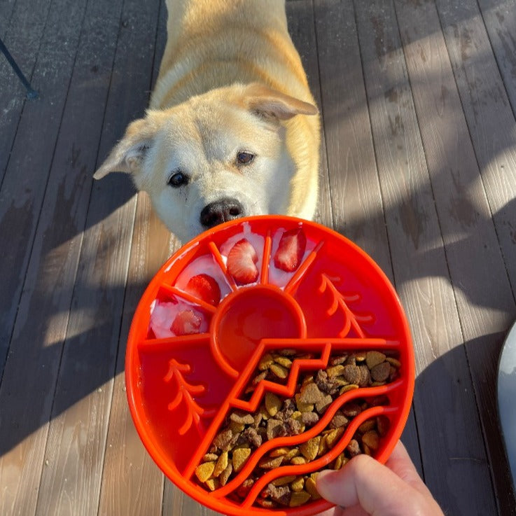 Load image into Gallery viewer, Great Outdoors eBowl - Slow Feeder Dog Bowl &amp; Enrichment | USA Made
