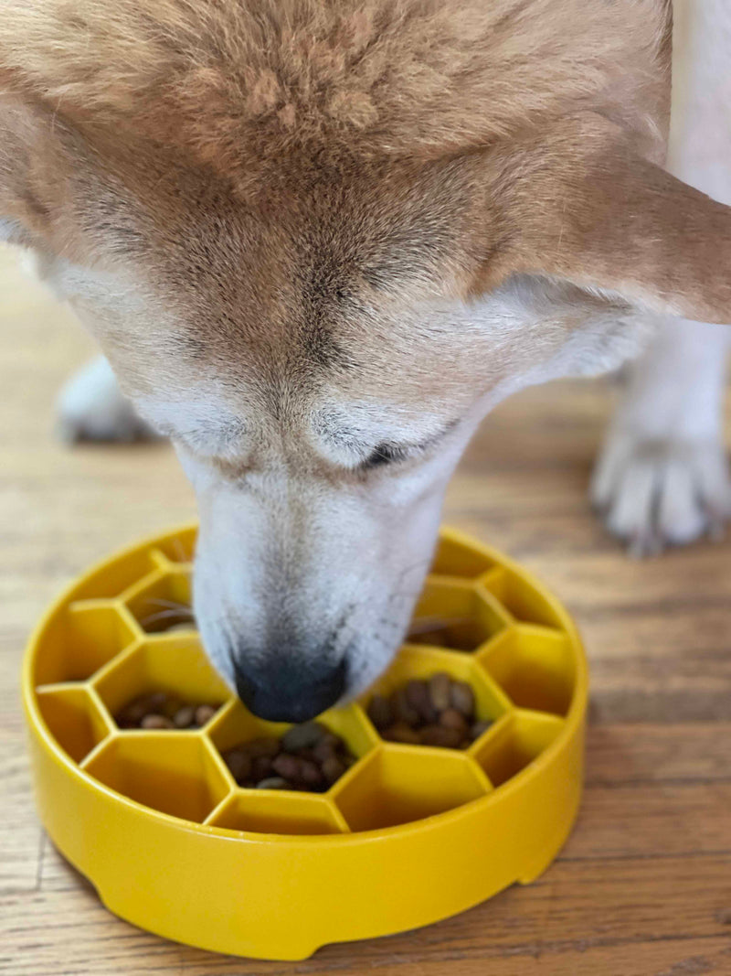 Load image into Gallery viewer, Honeycomb eBowl Deep Slow Feeder Dog Bowl for Enrichment | USA Made
