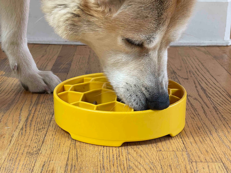 Load image into Gallery viewer, Honeycomb eBowl Deep Slow Feeder Dog Bowl for Enrichment | USA Made
